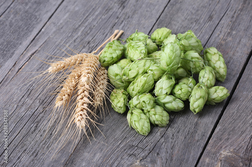 Hops cones and ears of wheat on wood background