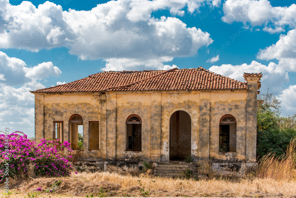 An empty and abandoned house in a grassy field in rural Mozambique, Africa