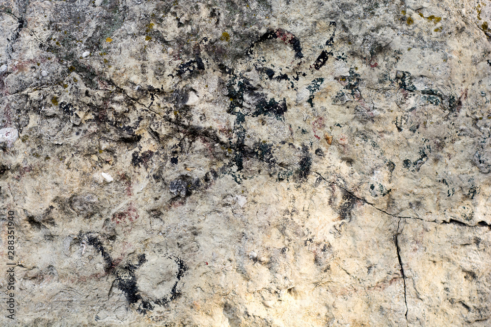 texture of stone texture of stone