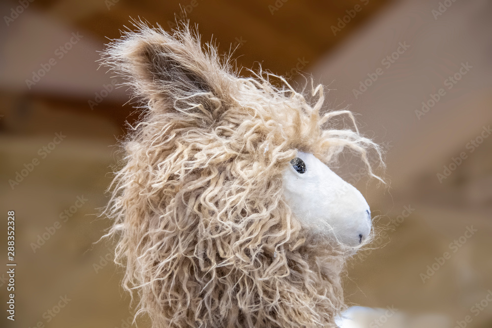 Cute fuzzy toy llama head against light brown background - cropped Cute fuzzy toy llama head against light brown background - cropped