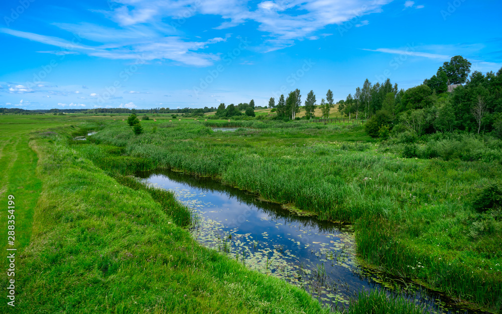 A narrow water canal, river, stream going through a green grass field landscape into bright summer clouds. Rural, countryside landscape