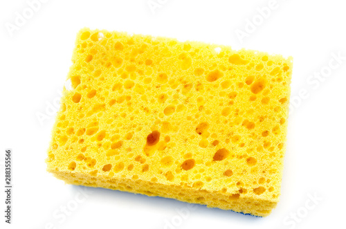 yellow sponge photo