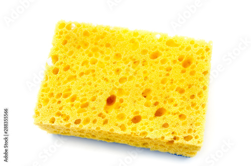 yellow sponge