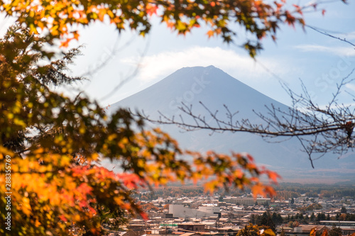 Mt. Fuji in Autumn maple leaf. View from Chureito Pagoda, Yamanashi, Japan. Seasonal natural landscape in fall season. photo