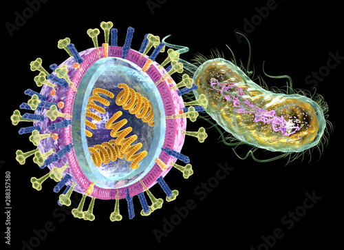 Infectious disease: Virus (left) and bacteria (right), medically 3D illustration