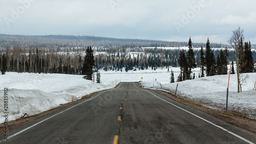 Moody Landscape and Snow 6