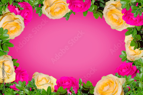 Frame of pink and yellow roses on a pink background. © qwertfak