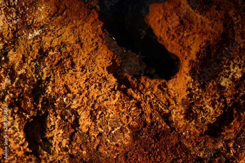 Chaga texture background of mushroom growth on a birch tree trunk