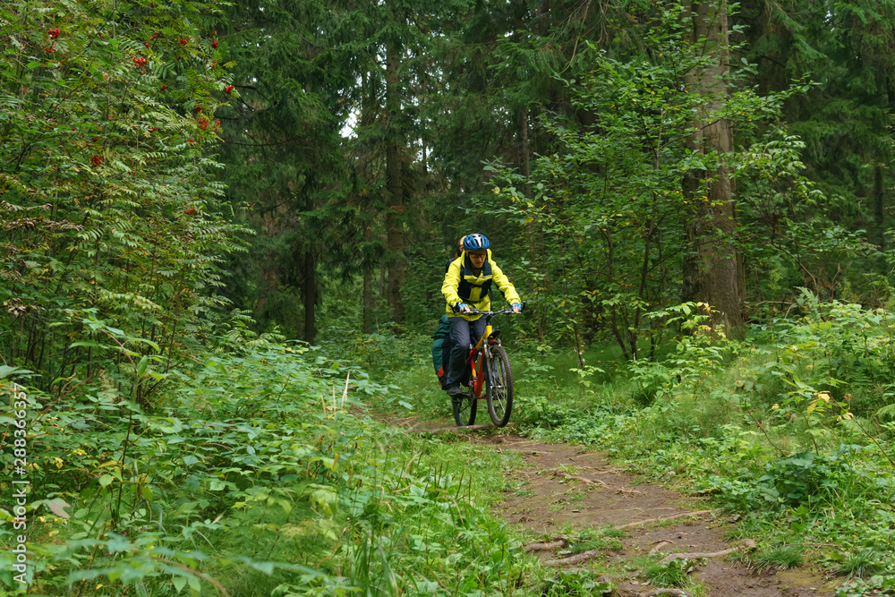 cyclist hiker overcomes an obstacle on a trail in a mountain forest cyclist hiker overcomes an obstacle on a trail in a mountain forest