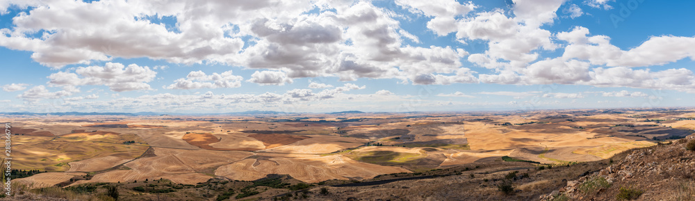 Southern Panorama of the Rolling Farmland of the Palouse to the Horizon from the Top of Steptoe Butte in Washington State