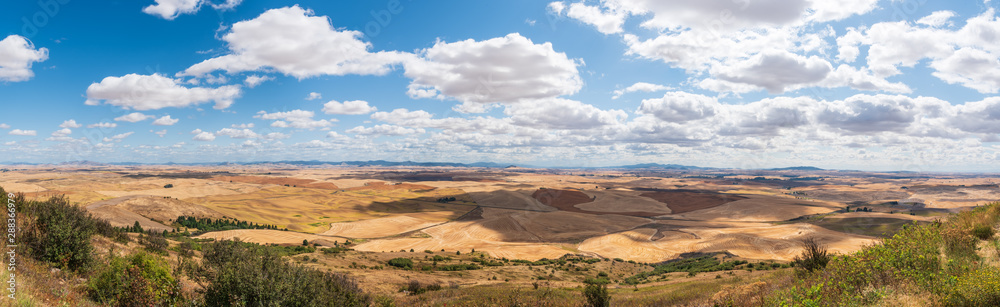 Naklejka premium Western Panorama of the Rolling Farmland of the Palouse to the Horizon from the Steptoe Butte in Washington State