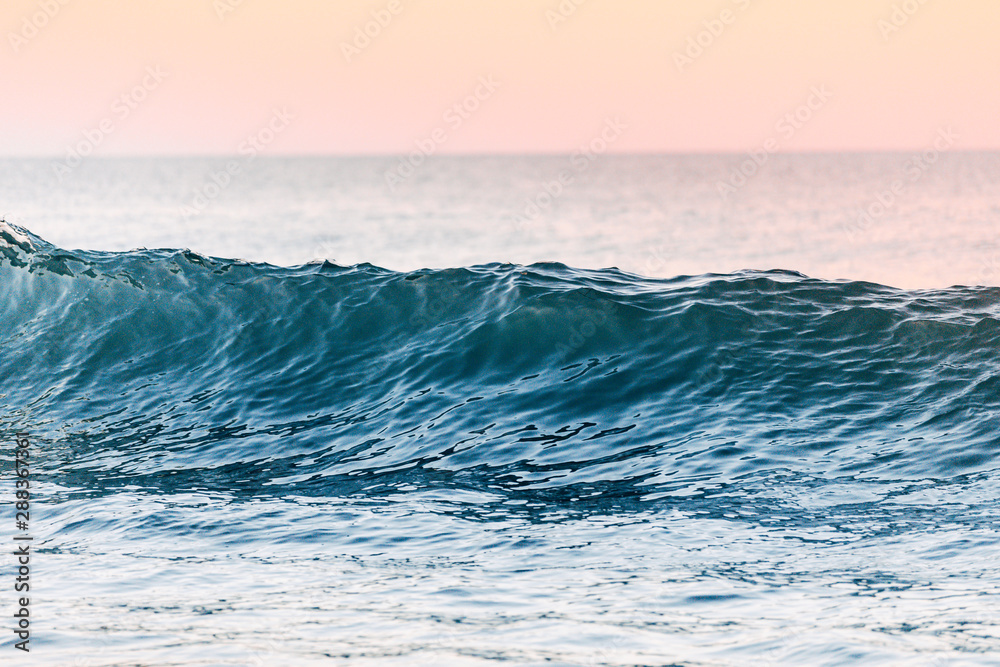 A close up of an ocean wave building up before crashing into the beach shore near the Pacific Coast Highway. During sunset, the background has high pink, purple, and red colors for a dramatic sunset. 