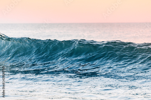 Fototapeta Naklejka Na Ścianę i Meble -  A close up of an ocean wave building up before crashing into the beach shore near the Pacific Coast Highway. During sunset, the background has high pink, purple, and red colors for a dramatic sunset. 
