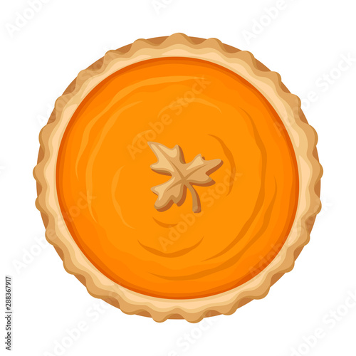 Vector pumpkin pie isolated on a white background.