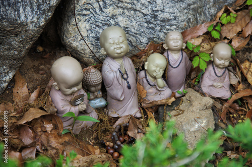 Buddha photo