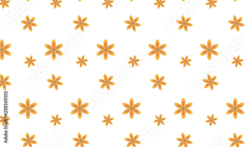 Orange Bloodroot Flower Pattern Background