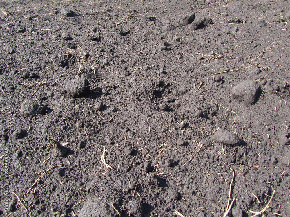 Gray soil texture. Soil with lumps.