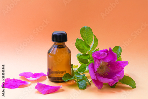 Dark glass bottle with black cap on bright orange background with dog rose blooming flower and petals. Anti-ageing moisturizing ingredient in cosmetics, source of vitamin E