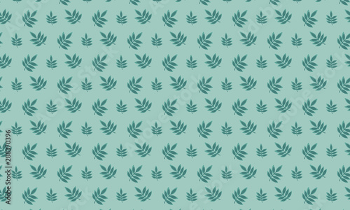 Lite Green Background and Dianthus Leaves Pattern Background