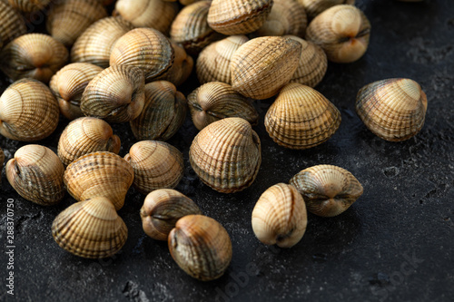 Fresh raw cockle molluscs in heart-shaped shells, sea food shellfish on dark background