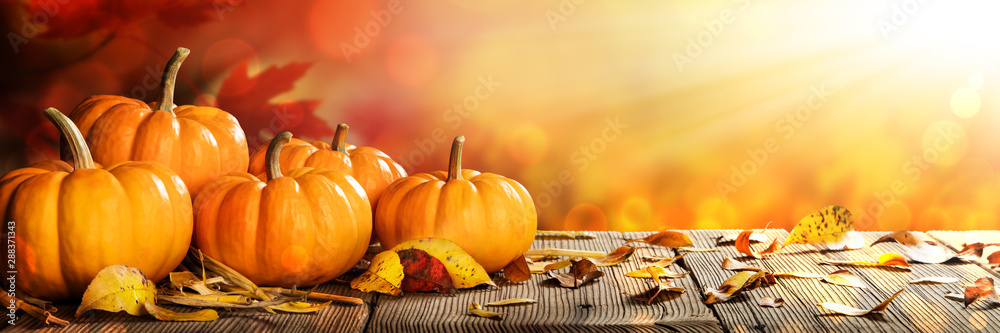 Banner Of Thanksgiving Pumpkins And Leaves On Rustic Wooden Table With Sunlight And Bokeh On Orange Background - Thanksgiving / Harvest Concept - obrazy, fototapety, plakaty 