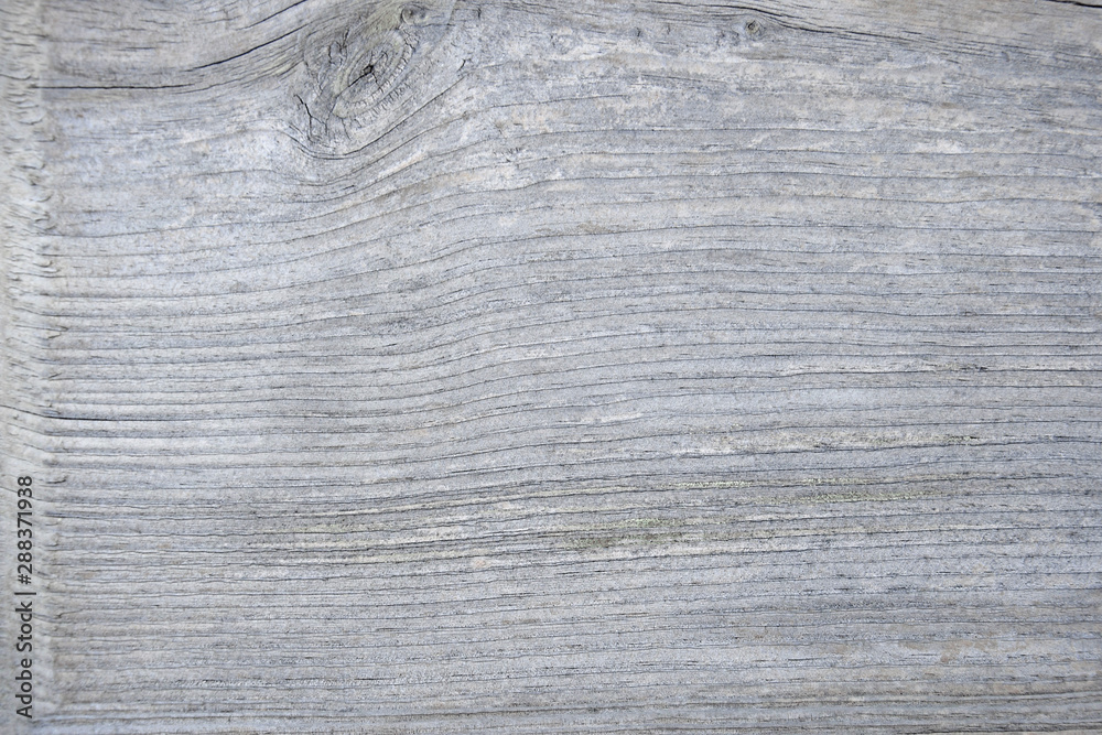 Old wooden surface with knots and cracks. Texture. Gray background. Close-up. Copy space. Old wooden surface with knots and cracks. Texture. Gray background. Close-up. Copy space.