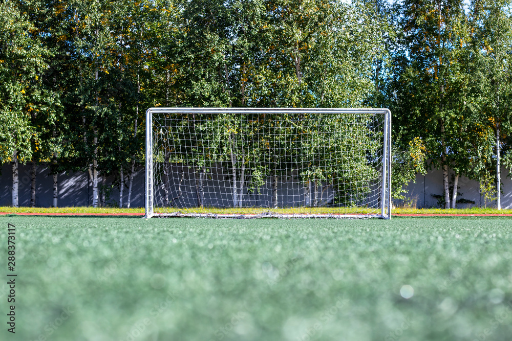 Fototapeta premium Football goal.