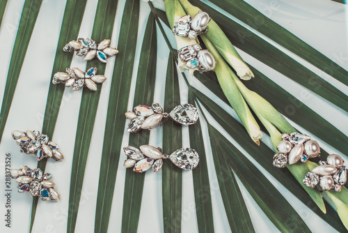 Set of jewels arranged on a leaf of a Palm Tree