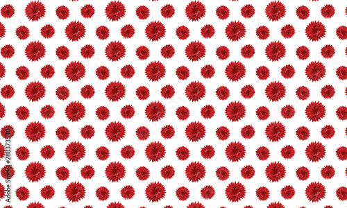 Red Flower Background