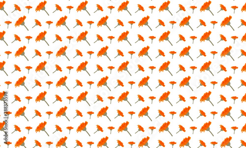 Yellow Euphorbia Leaves Pattern Background