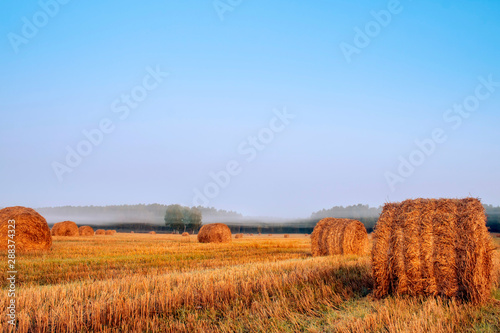 Golden sunset over farm field with hay bales. Autumn landscape.