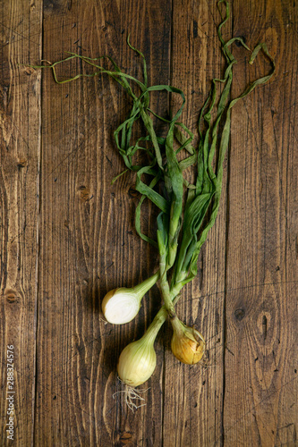 Organic onions with leaves on wooden textured table. Food background. Ripe onions. Bulb onions, green spring. Top view.