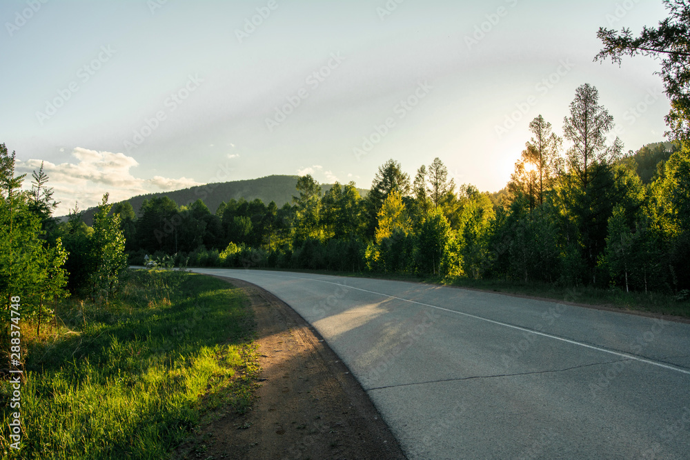 Forest road in the rays of the setting sun. Evening walk in the woods.