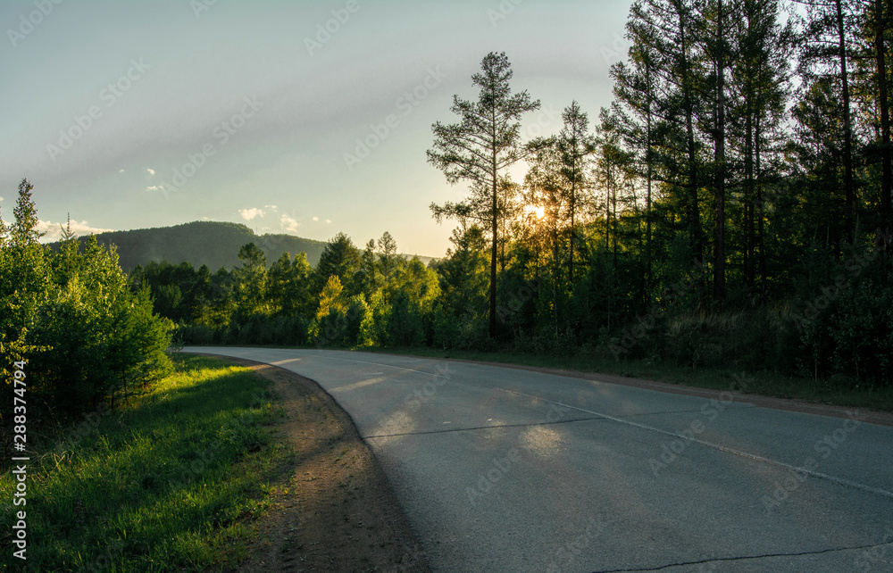 Forest road in the rays of the setting sun. Evening walk in the woods.