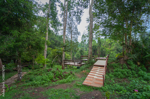 Khao Yai National Park is the largest rainforest in Thailand. There are many waterfalls. .There are various wildlife and plant species. .There are resorts and camping sites for people to relax in. photo