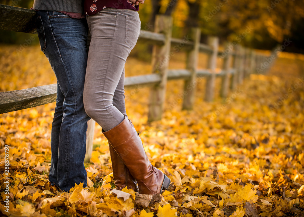 Couple standing in yellow leaves, fence row, autumn season, fall, color, horizontal image Couple standing in yellow leaves, fence row, autumn season, fall, color, horizontal image