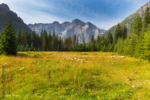 Beautiful edge in the Tatra...