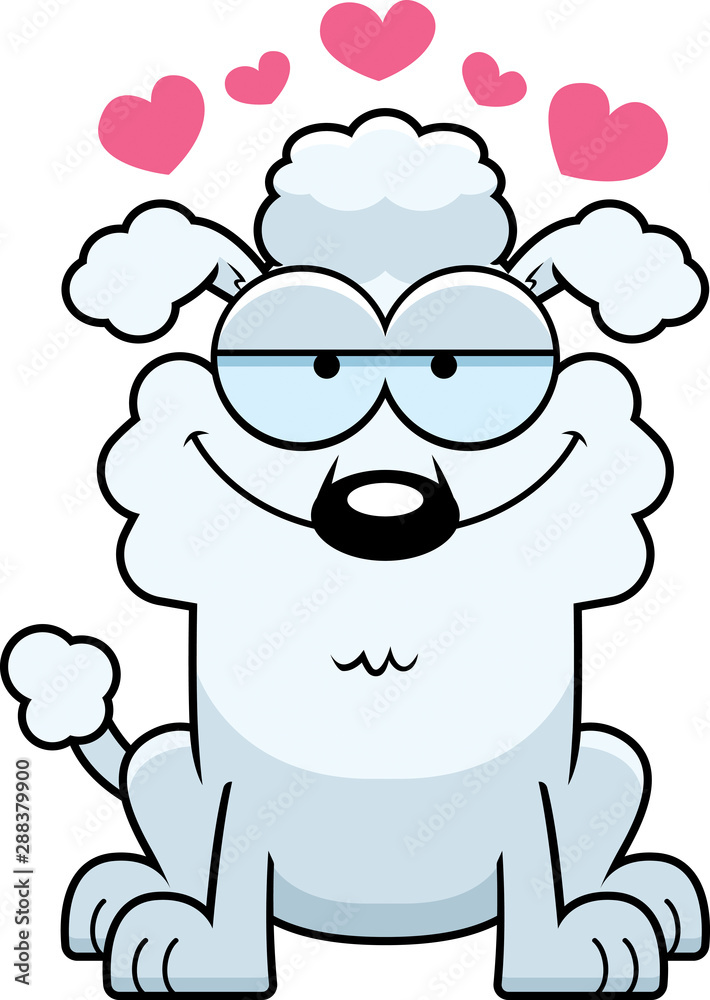 Little Poodle in Love