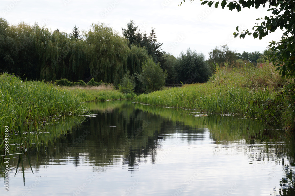 Obraz premium Ein Flies im Spreewald