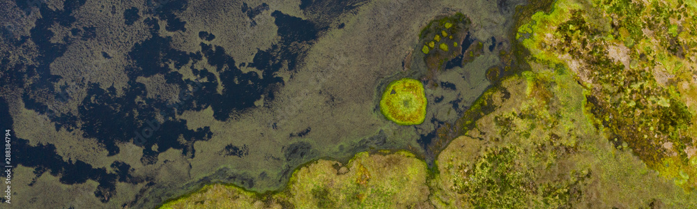 aerial abstract image of water and algae patterns at Lagoa Branca caldera crater on the Azores island of Ilha das Flores