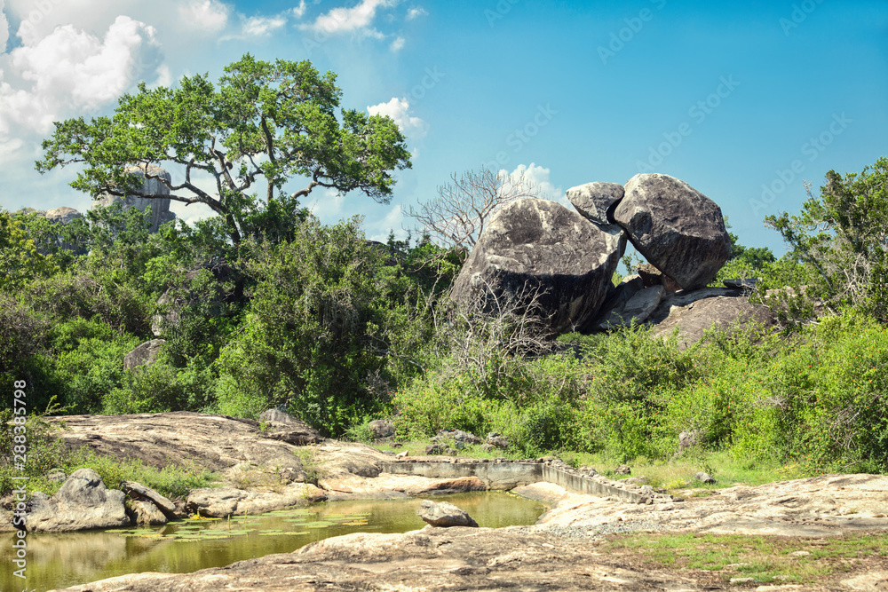 Landscape in Yala National Park, Sri Lanka