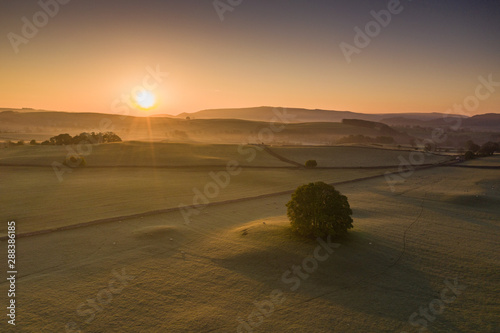 Sunrise over a tree in the Yorkshire Dales photo