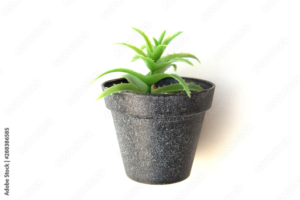 Potted plastic plants and flowers for decorations. Container made of aluminium, plastic, ceramic as well as clay. Plants include Cactus, cacti, beautiful green leaves and red flowers. Potted plastic plants and flowers for decorations. Container made of aluminium, plastic, ceramic as well as clay. Plants include Cactus, cacti, beautiful green leaves and red flowers.