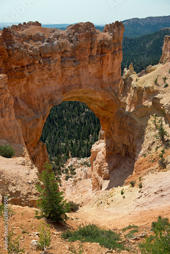 Look through arch at Bryce Canyon with trees behind