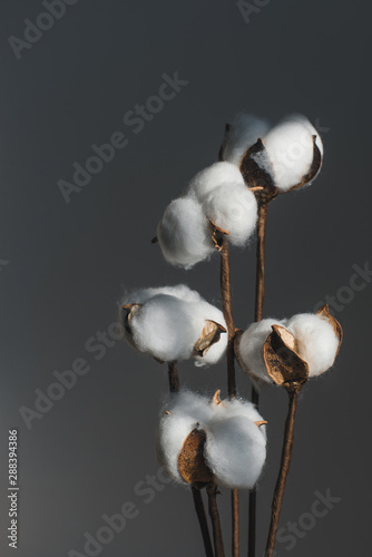 A bouquet of cotton on a wooden table.