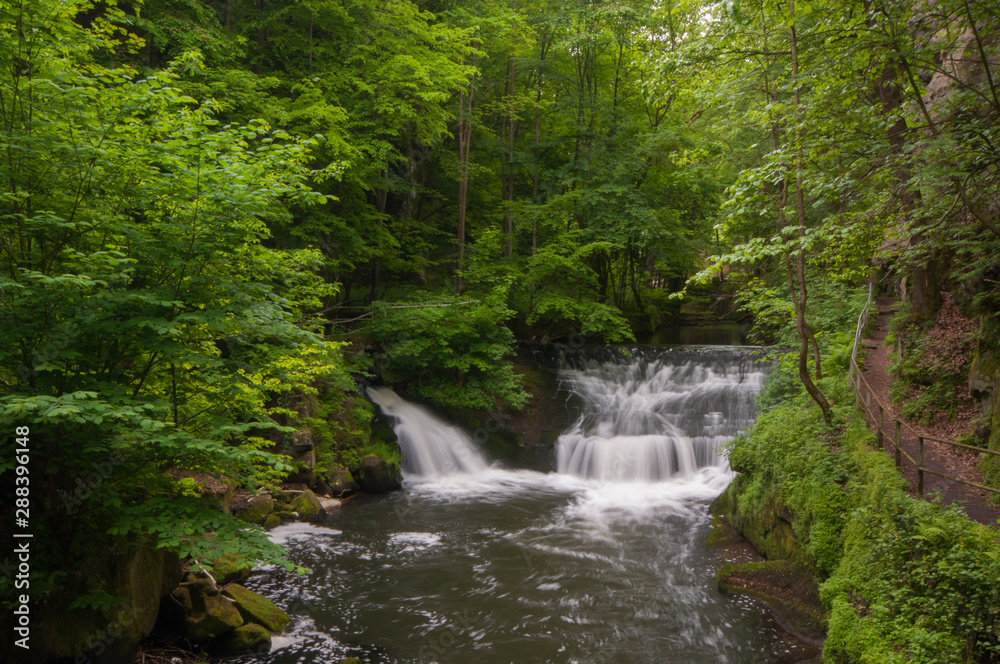 Wald und Wasser Wald und Wasser