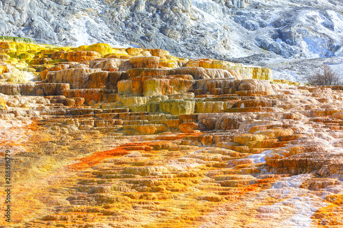 Sinterterassen in Mammoth Hot Springs im Yellowstone Nationalpark photo