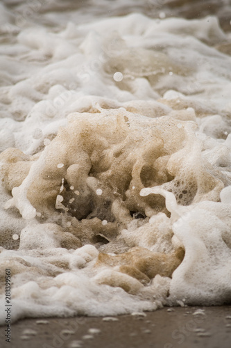Close-up of Foamy Water Splashing onto Shore