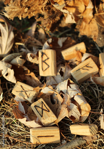 View of the Dagaz rune, which lies on yellow leaves and dry grass. Runic alphabet for magic ritual. Bluer effect photo