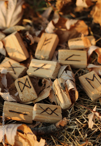 Top view of a large number of wooden runes, on one of them is a fly. Runes form the runic alphabet. Nature and vegetation. The concept of magic and mysticism